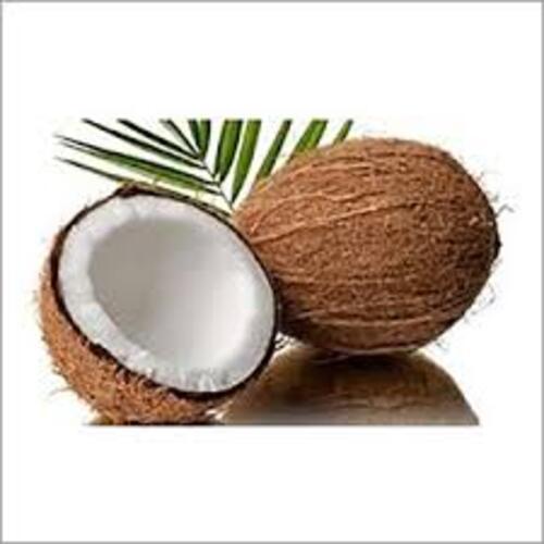Organic Healthy Maturity 100% Natural Taste Brown Semi Husked Coconut