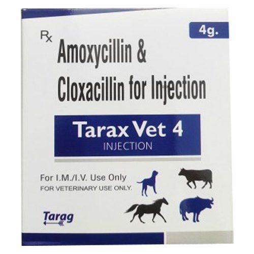 Veterinary Amoxycillin Cloxacillin Injection