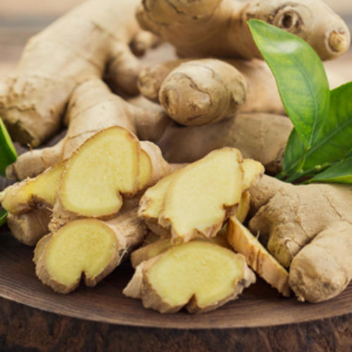 Healthy and Natural Taste Organic Light Yellow Fresh Ginger Packed in Gunny Bags