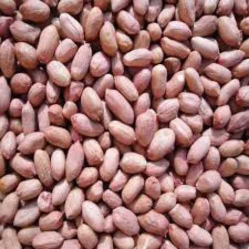 Natural Dry Peanut Seeds