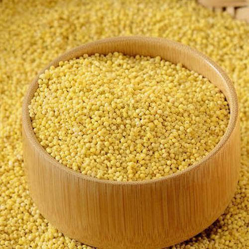 Protein 11 G 22% Carbohydrate 24% Dietary Fiber 36% Healthy And Natural Organic Millet Seeds
