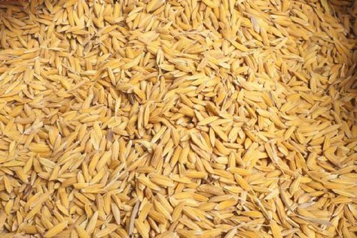 ISO-9001: 2008 Certified Healthy Natural Long Grain Dried Brown Paddy Rice