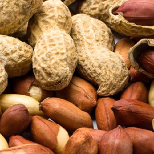 Potassium 20% Total Fat 75% Moisture 4% Natural and Healthy Brown Peanuts