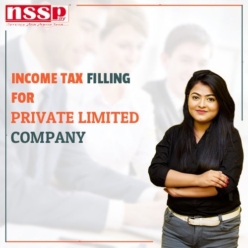Income Tax Filling For Private Limited Company By Nssp Tech World Pvt. Ltd.