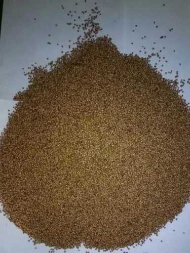 Natural Taste Coriander Seeds