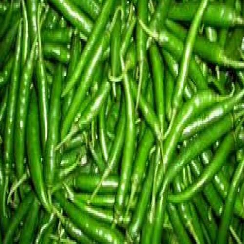 Spicy Hot Taste Natural Healthy Fresh Green Chilli