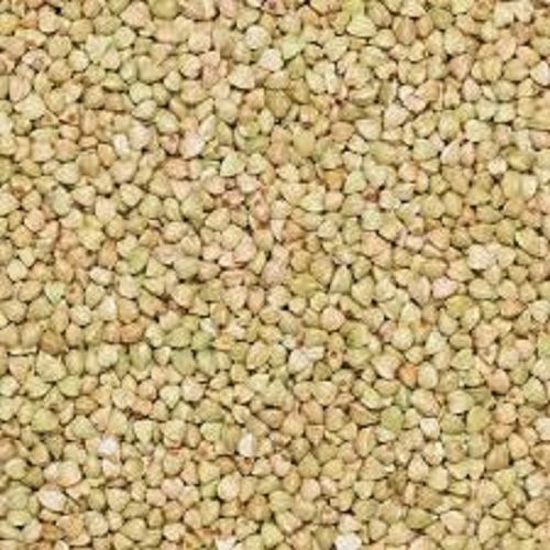 Buckwheat Grains (Brown / Green)