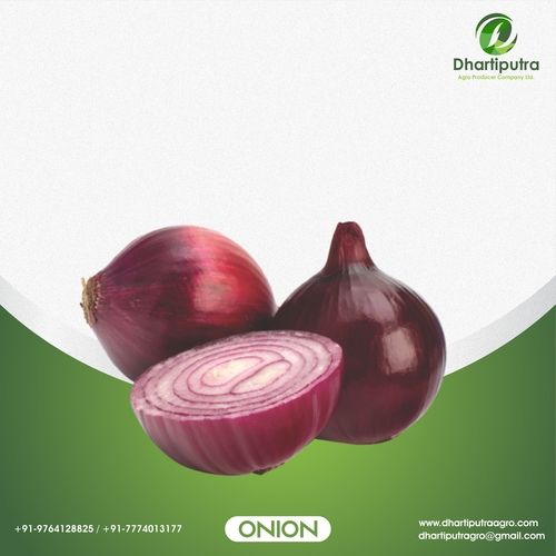 Cooked Fresh Round Organic Red Onion