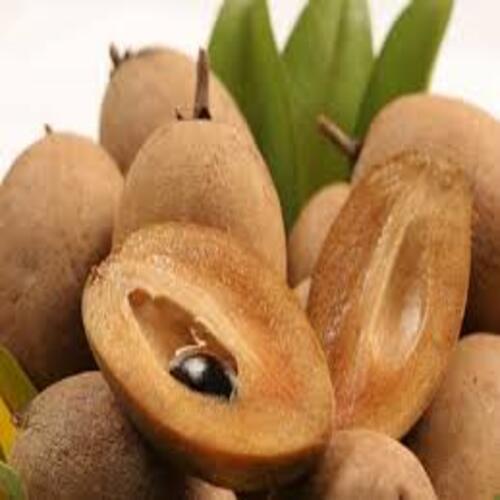 Healthy Natural Pure Delicious Sweet Brown Fresh Sapota Fruit
