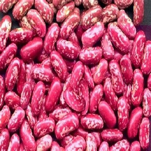 Light Speckled Kidney Beans - 165/170/175/185pcs per 100g | Max 15% Moisture, 0.5% Admixture, 3% Imperfect Rate, HPS Process