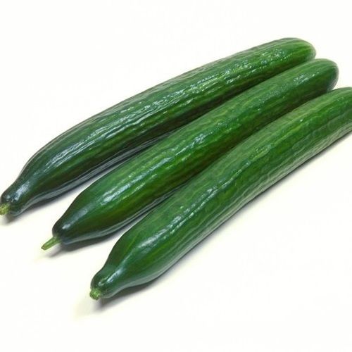 Pure And Fresh Green Cucumber Grade: A