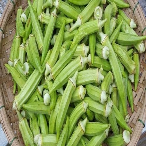 Pure and Fresh Green Okra