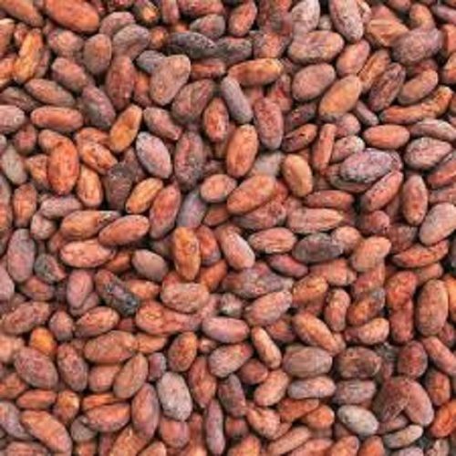 Raw Sun-Dried Cocoa Beans