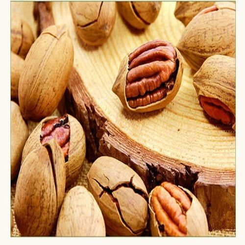 Common Superior Grade Fresh Pecan Nuts