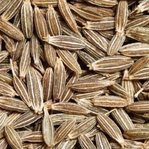 Improves Acidity Problem Natural Healthy Organic Dried Brown Cumin Seeds