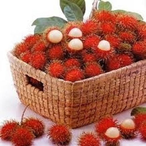 Light Sweet Fresh Rambutan Fruits