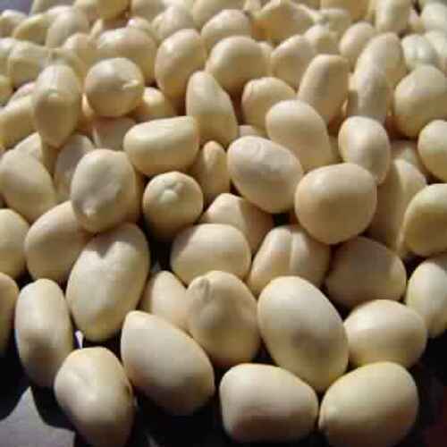 Long Shelf Life Natural Fine Taste Organic White Blanched Java Peanuts