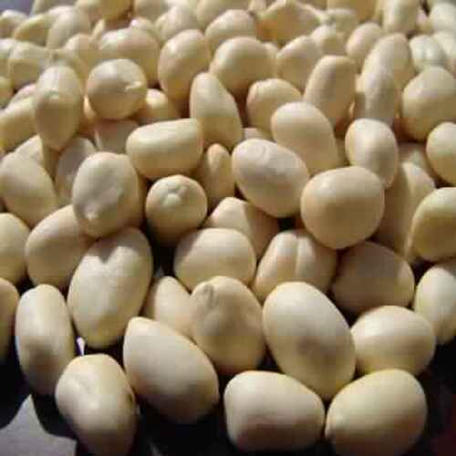 Long Shelf Life Natural Fine Taste Organic White Blanched Java Peanuts Grade: Food Grade