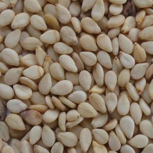 Natural Taste and Healthy Organic Beige Natural Sesame Seeds