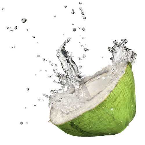 Organically Produced And Naturally Cultivated Karnatkan Green Fresh Coconut Sap Water