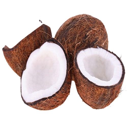 Semi-Husked South Indian Super Quality Organically Cultivated And Grown Pure Natural Semi Husked Fresh Whole Coconuts