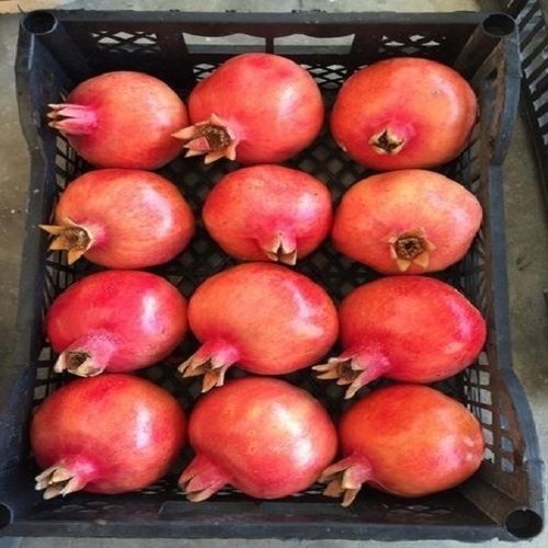 Superior Grade Fresh Pomegranates