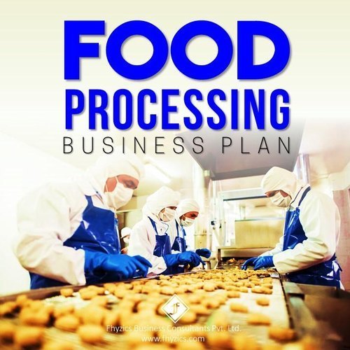 Automatic Food Processing Plant Consultancy Services