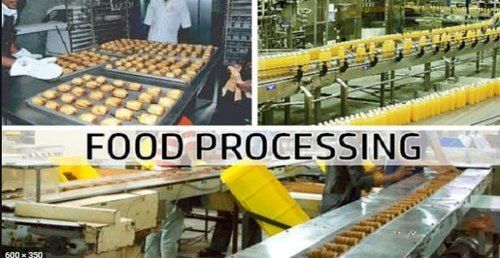 Food Processing Project Consultants Services
