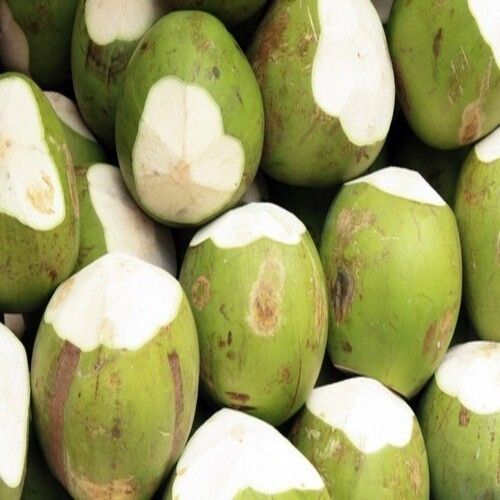  स्वस्थ और प्राकृतिक अच्छा स्वाद वाला हरा कोमल नारियल