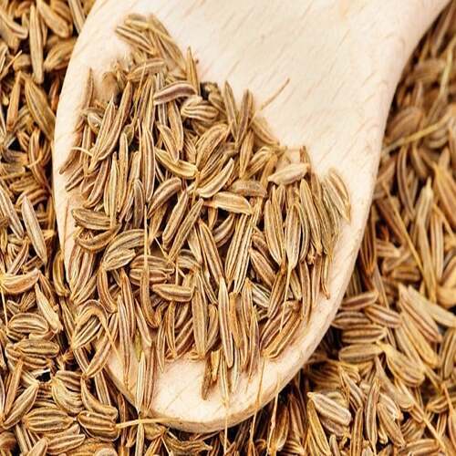 High Quality Aromatic and Flavorful Cumin Seeds
