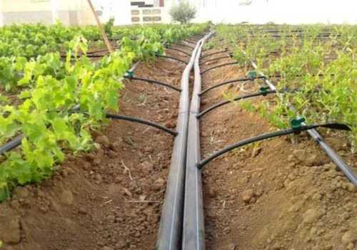 Black Drip Irrigation System