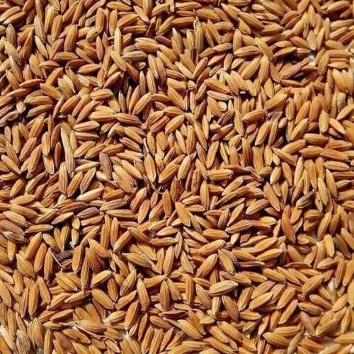 Broken 5% Natural Healthy Organic Brown Mansoori Paddy Rice