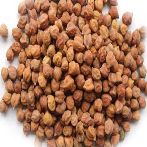 Healthy and Natural Taste Dried Whole Indian Black Chickpeas