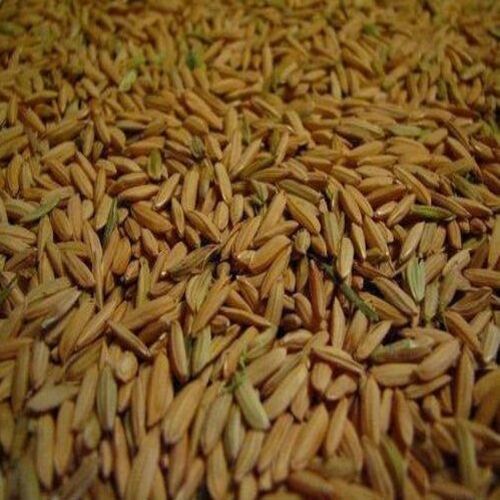  14% से कम नमी प्राकृतिक स्वस्थ ऑर्गेनिक ब्राउन कतरनी धान चावल
