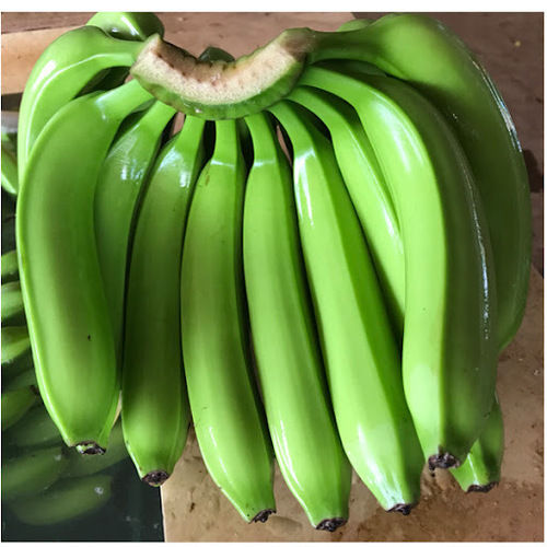 Green Fresh Cavendish Banana Fruit With Certification Gap, Haccp