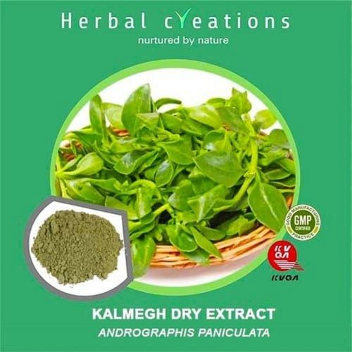 Herbal Dried Green Andrographis Paniculata Kalmegh Extract Powder