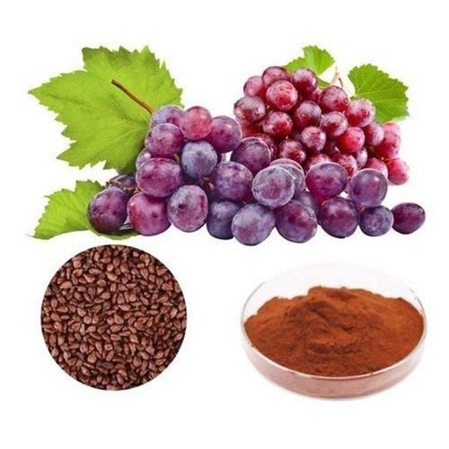 Herbal Dried Vitis Vinifera Grape Seed Extract Powder