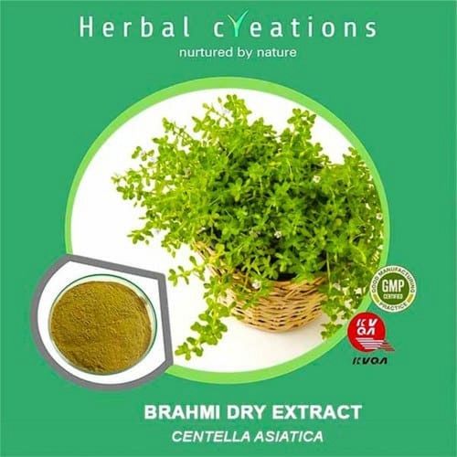 Herbal Memory Care Bacopa Monnieri Brahmi Plant Extract Powder Age Group: For Adults