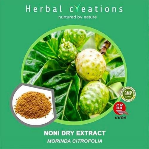 Organic Green Morinda Citrifolia Noni Extract Powder