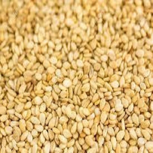 Superior Grade Sesame Seeds