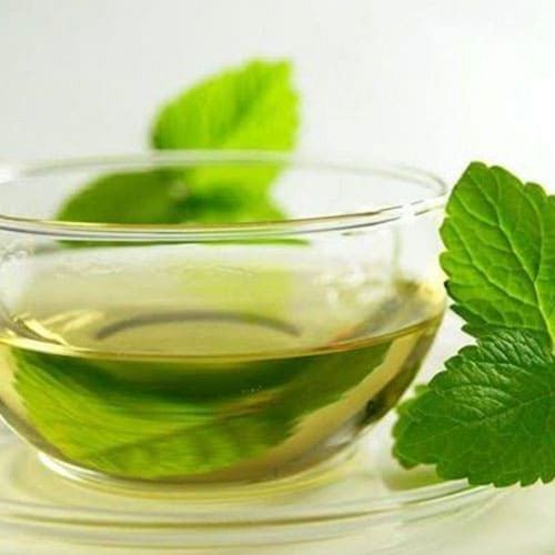 Green Ocimum Sanctum Tulsi Plant Leaf Liquid Extract