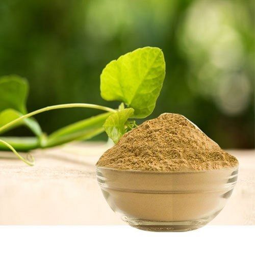 Herbal Cissus Quadrangularis Hadjod Dried Powder
