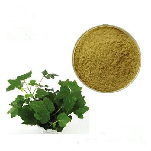 Ivy Leaf Extract Powder - Product Type: Herbal Product