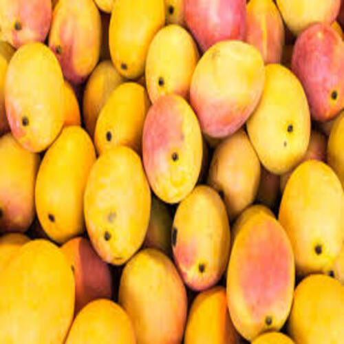 No Artificial Flavour Sweet Natural Taste Healthy Organic Yellow Fresh Mango