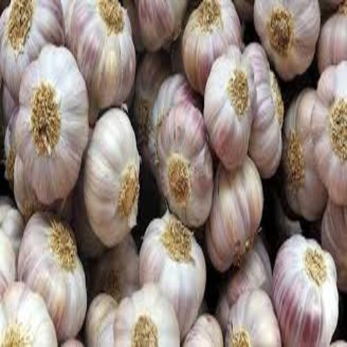 Purity 100.00% Natural Taste and Healthy White Fresh Garlic