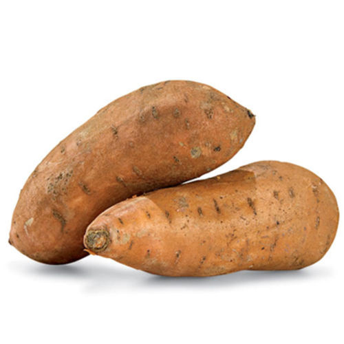 Healthy and Natural Taste Fresh Brown Sweet Potato