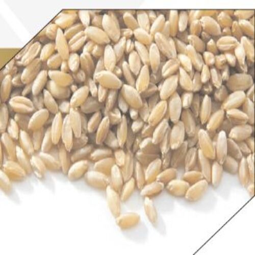 Healthy Natural Taste Moisture Max. 12% Brown Dried Milling Wheat Seeds