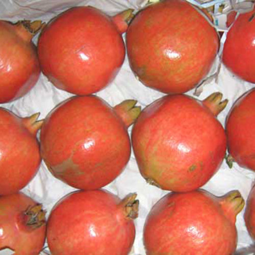 Highly Delectable Nutritive Healthy Natural Fresh Red Pomegranate