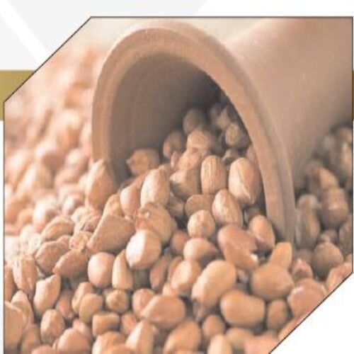 Imperfect Grains 1% Max. Oil Content 48% Max. Healthy Natural Brown Groundnut Peanuts