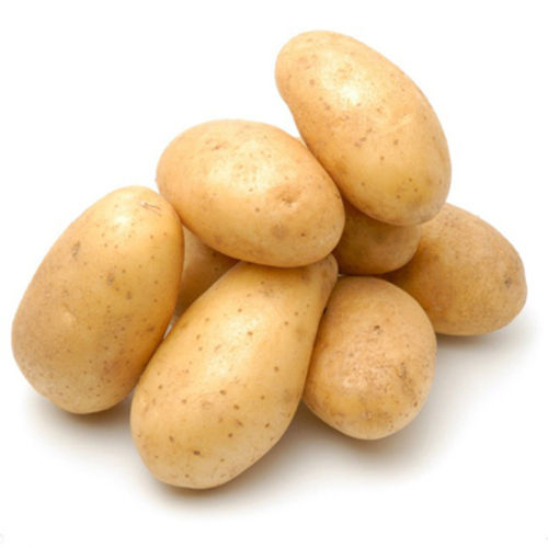 Mild Flavor Natural Taste Healthy Brown Fresh Potato